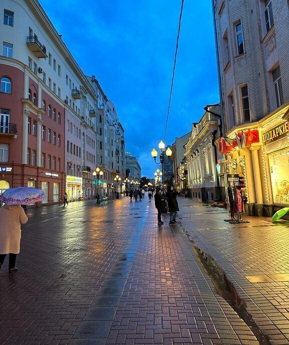 квартира г Москва метро Смоленская ул Арбат 40 фото 21