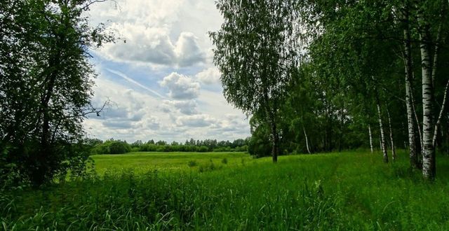 Алексинское сельское поселение, Дорогобуж фото