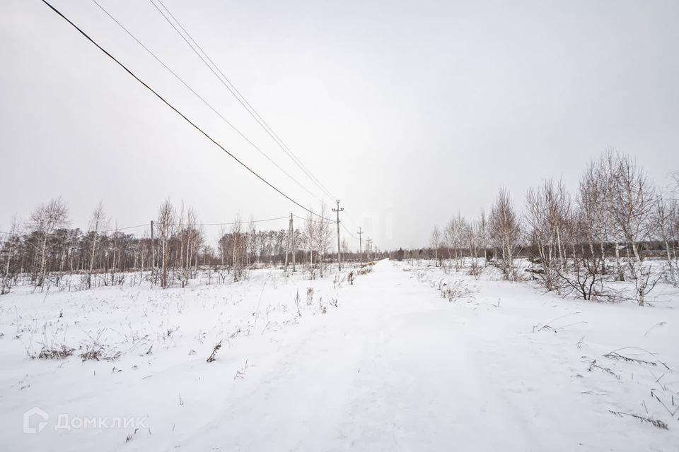 земля г Бердск городской округ Бердск, ТЛПХ Любавино фото 2