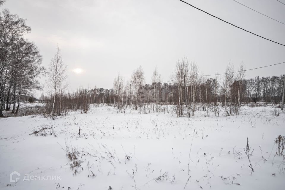 земля г Бердск городской округ Бердск, ТЛПХ Любавино фото 3