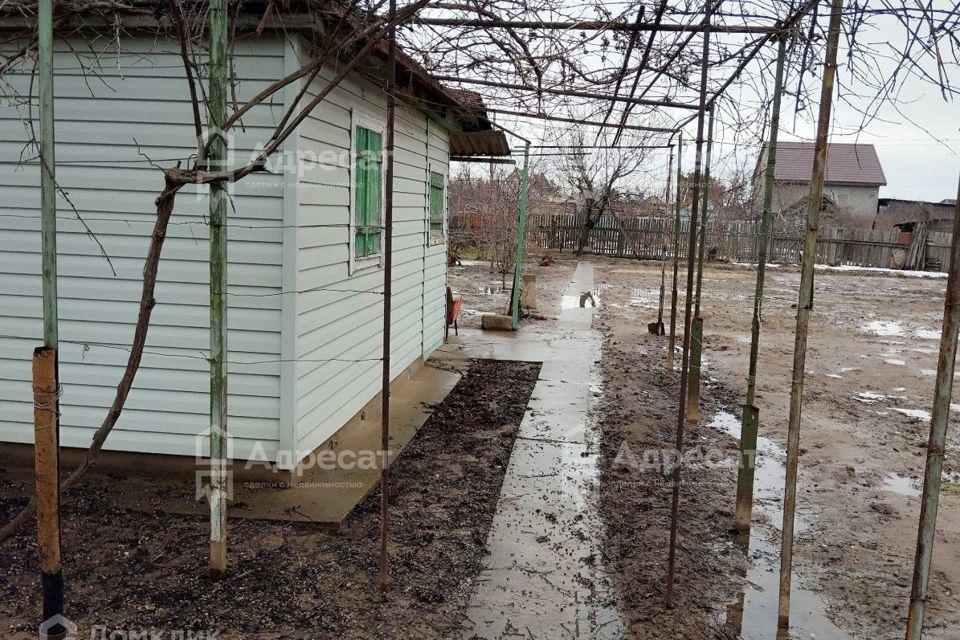 дом г Волжский сад СНТ Цветущий ул Лимонная городской округ Волжский, Сад фото 2