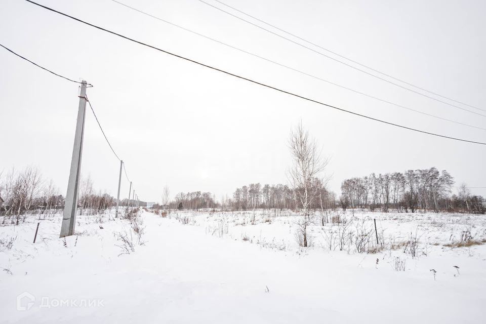 земля г Бердск городской округ Бердск, ТЛПХ Любавино фото 10