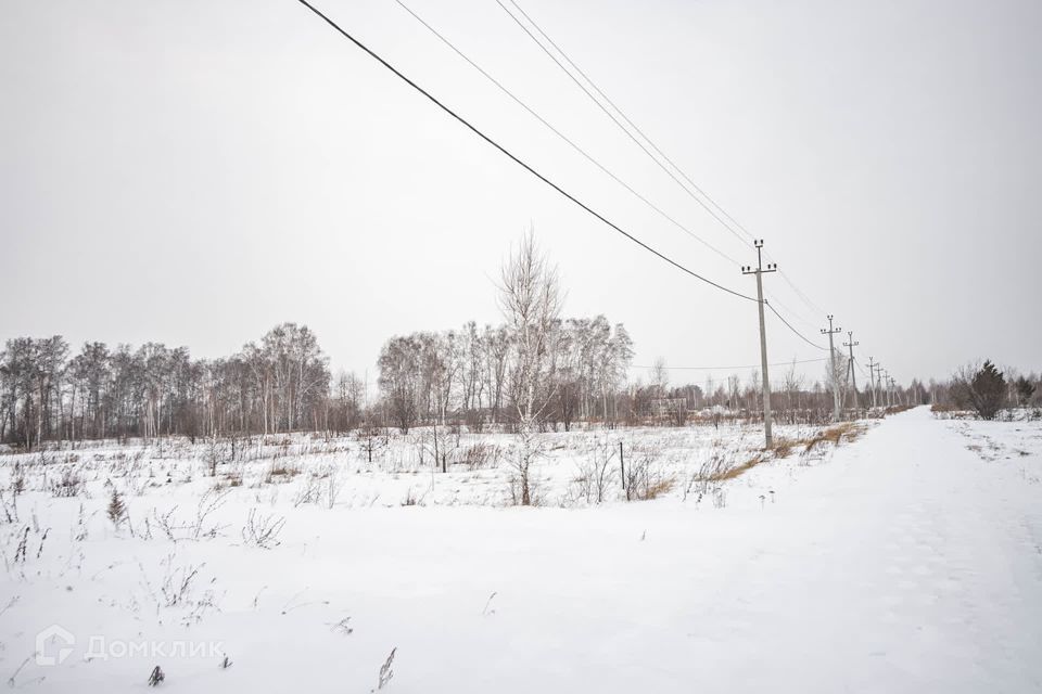 земля г Бердск городской округ Бердск, ТЛПХ Любавино фото 8