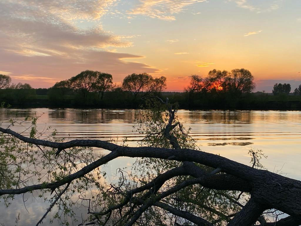 дом городской округ Раменский с Рыболово 50444 кв-л фото 1