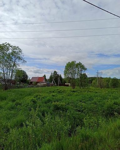 Пасеговское сельское поселение, Стрижи фото