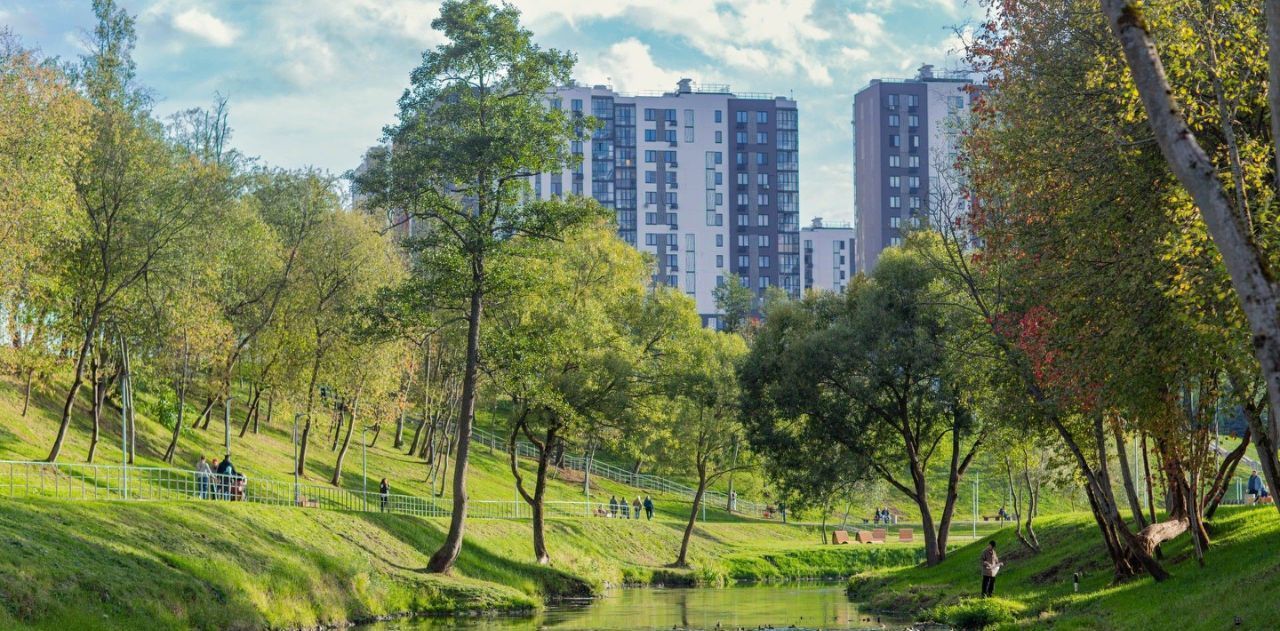 квартира г Москва п Десеновское метро Ольховая к 9/2. 1, г Балашиха, Центральный мкр фото 32