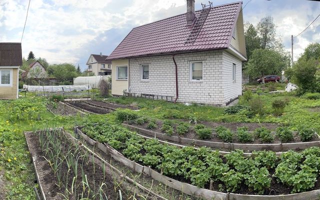 Садоводческое некоммерческое товарищество Орбита, 11-я линия, 58 фото