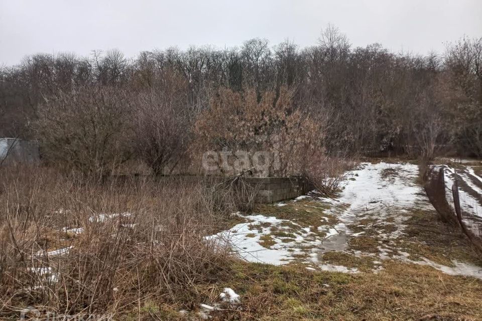 земля р-н Белгородский село Крутой Лог фото 2