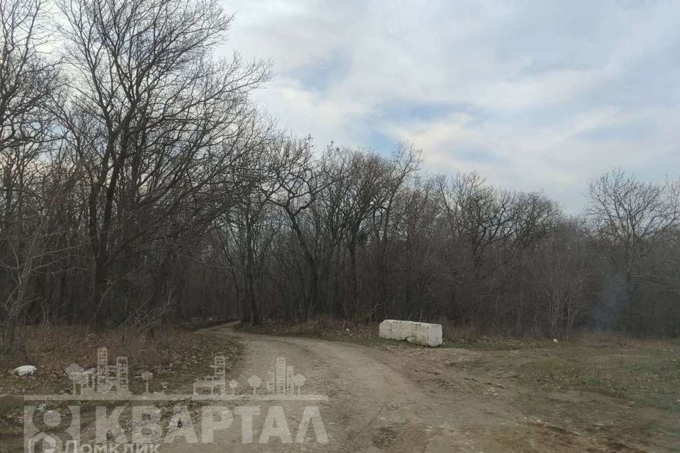 земля г Новороссийск муниципальное образование Новороссийск, садовое товарищество Берёзки фото 3