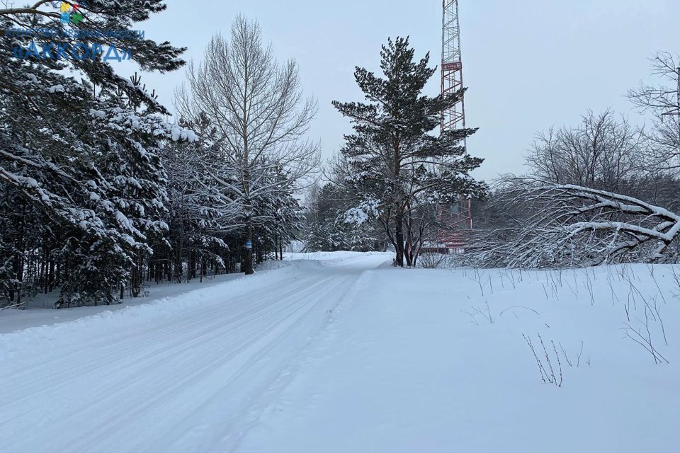 земля г Бийск городской округ Бийск, СНТ Монтажник фото 3