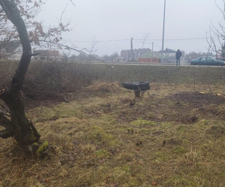 земля г Пионерский Пионерский городской округ, СНТ Южный фото 7