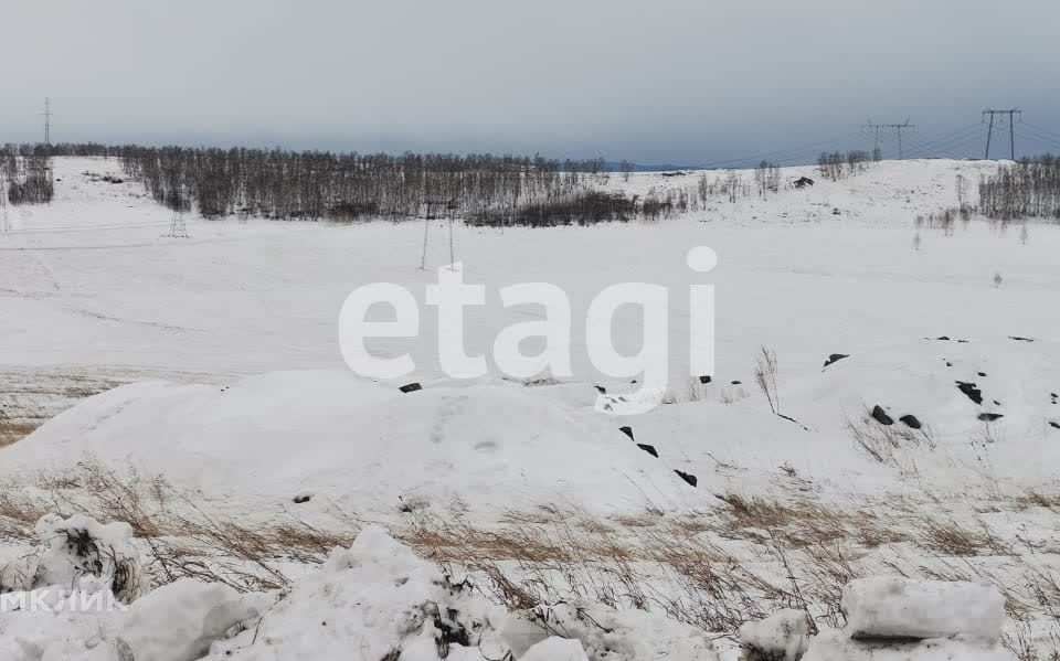 земля г Красноярск городской округ Красноярск, садоводческое некоммерческое товарищество Речник фото 8