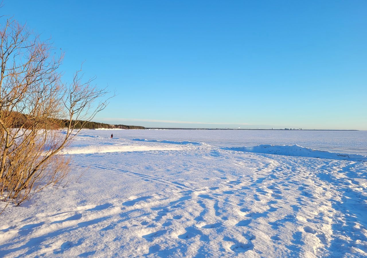 квартира г Санкт-Петербург п Репино ш Приморское 424 р-н Курортный фото 32