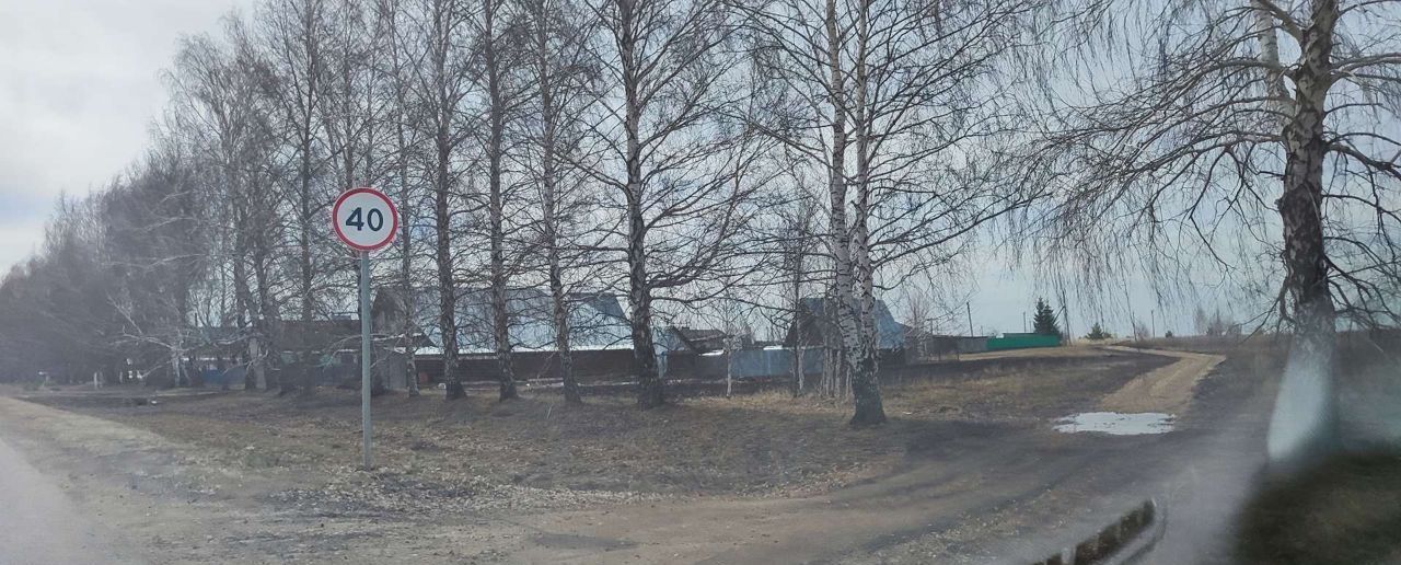 земля р-н Елабужский с Костенеево Костенеевское сельское поселение, Мамадыш фото 3