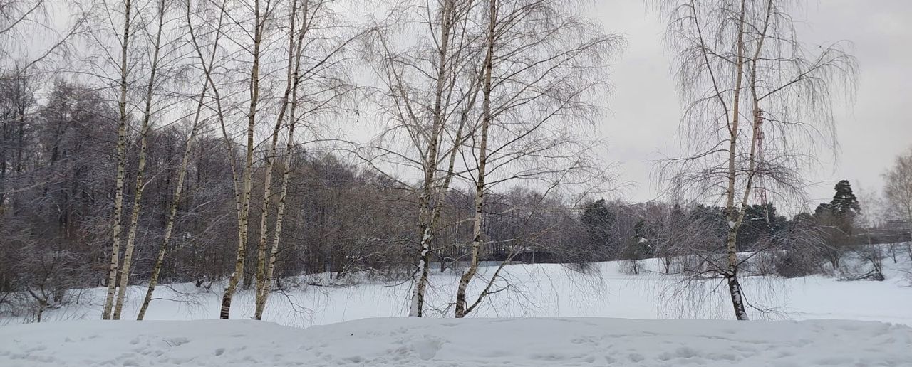 земля г Ивантеевка снт Родники жилой комплекс Родники, Раменский г. о. фото 4