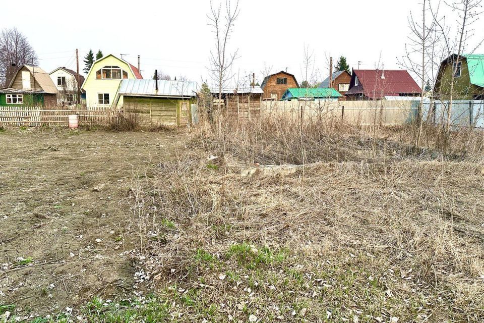 земля г Новосибирск садоводческое некоммерческое товарищество Рабис, городской округ Новосибирск фото 3