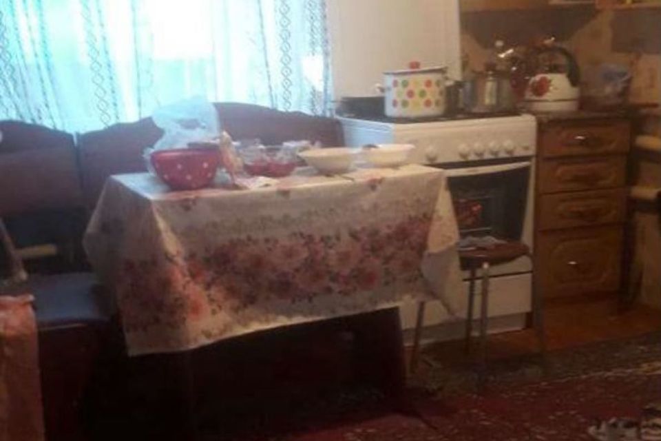 дом г Кирсанов ул Красноармейская городской округ Кирсанов фото 2