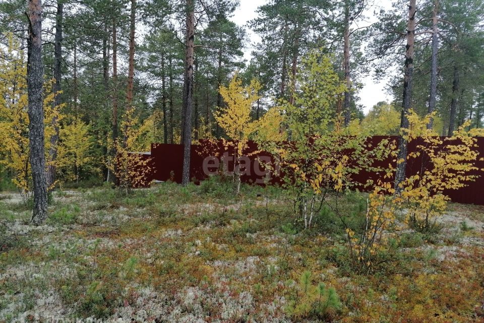 земля г Когалым городской округ Когалым, СОНТ Садовод-1 фото 7