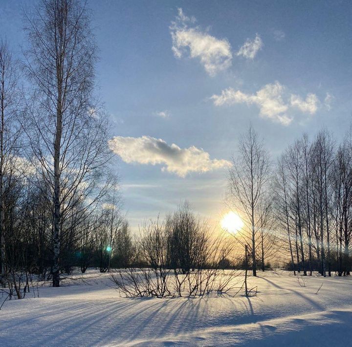 земля р-н Переславский с Веськово Переславль-Залесский городской округ фото 1