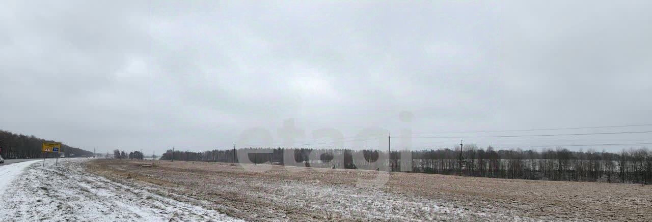 земля р-н Брянский с Отрадное р-н мкр Ново-Деснянский Отрадненское с/пос фото 2