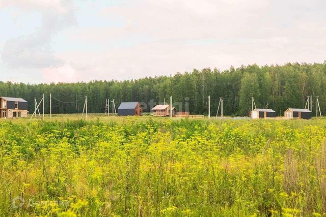 дачный посёлок Грин, Цветочная улица фото