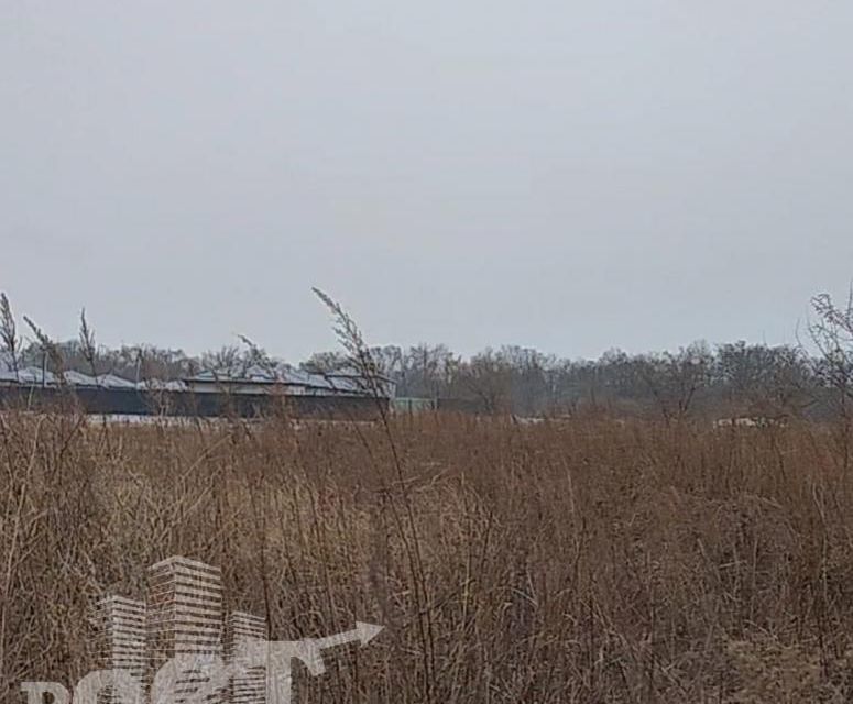 земля г Артем с Кневичи Артёмовский городской округ, Грушевый переулок фото 2