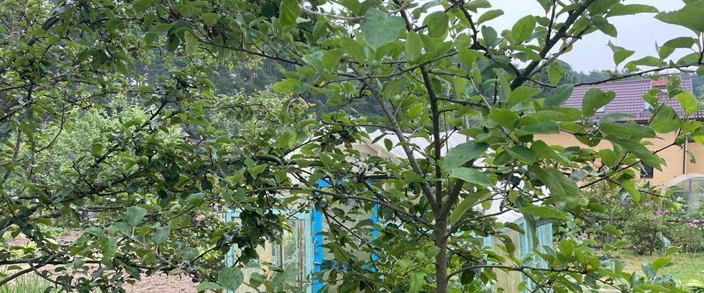 дом г Обнинск снт Химик-2 Красная Горка садоводческий массив фото 9