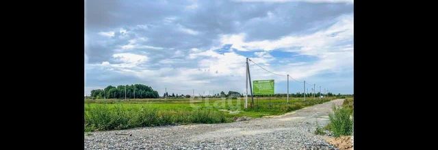 земля п Тараскуль фото