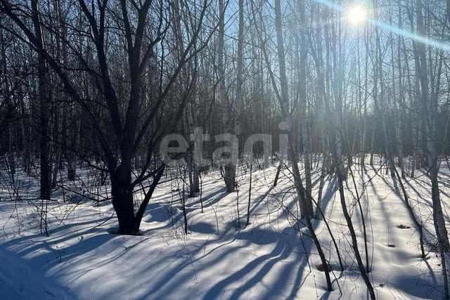 ш Игнатьевское городской округ Благовещенск фото