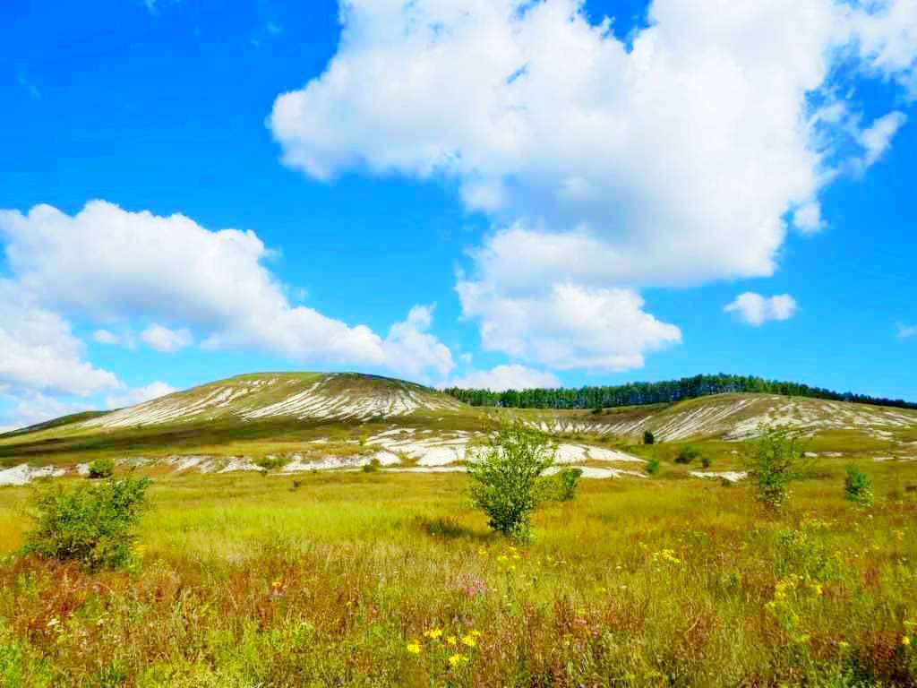 свободного назначения р-н Борисовский с Красный Куток фото 30
