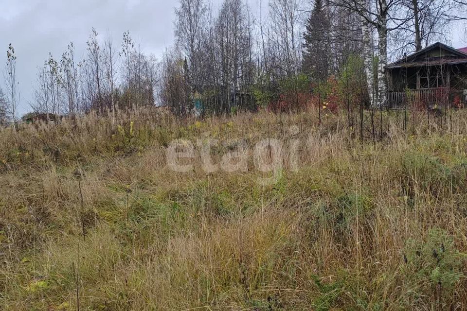 земля г Ухта городской округ Ухта, садоводческое товарищество Земляничная Поляна фото 2