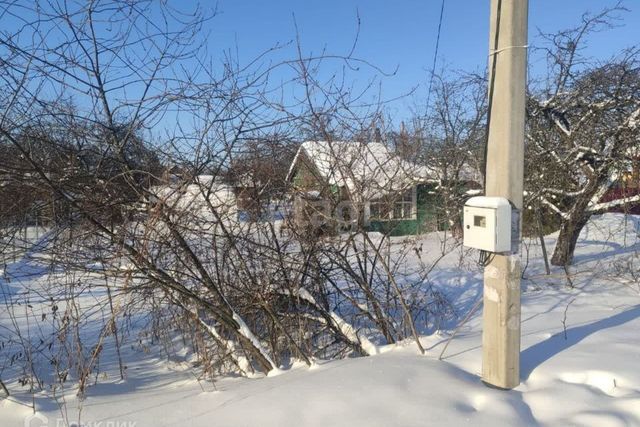 городской округ Ярославль, садовое товарищество Расцвет фото