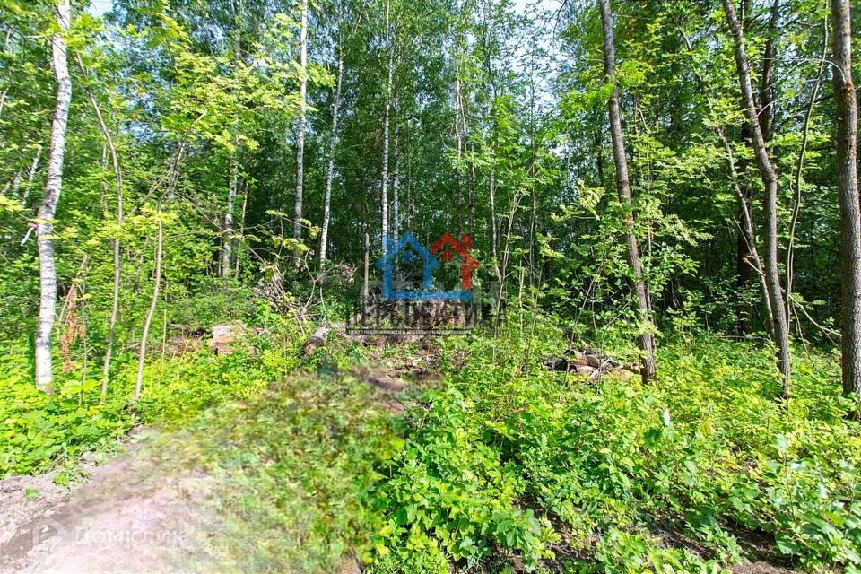 земля г Тобольск фото 4