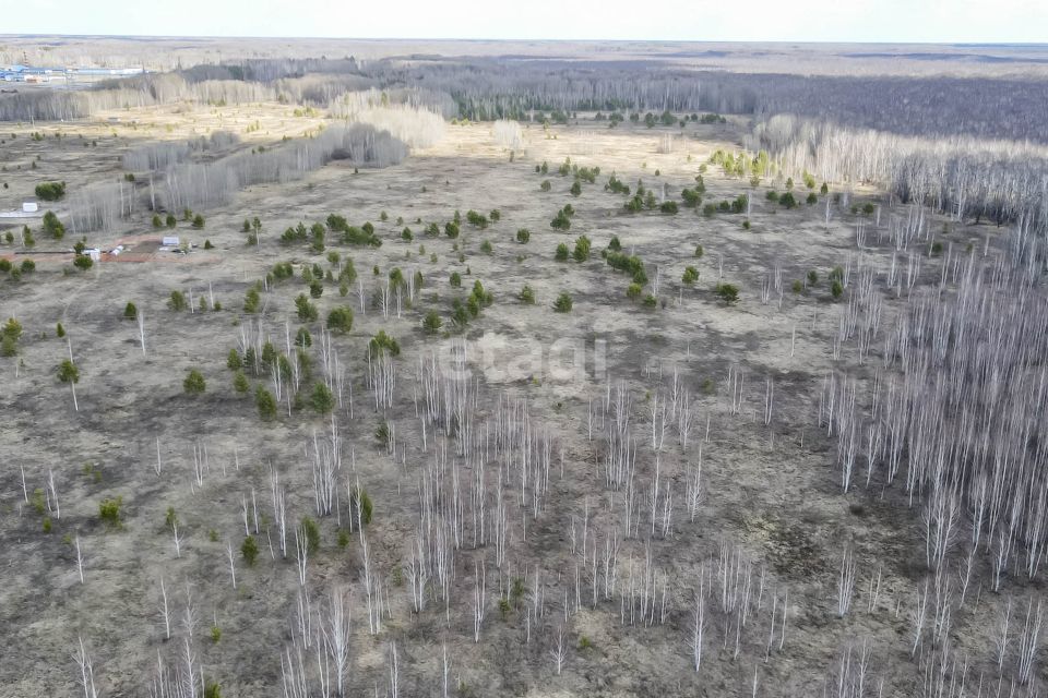 земля р-н Нижнетавдинский посёлок Торгили фото 3