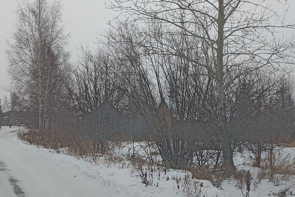 земля р-н Комсомольский с Новый Мир ул Новокузнецкая фото 3