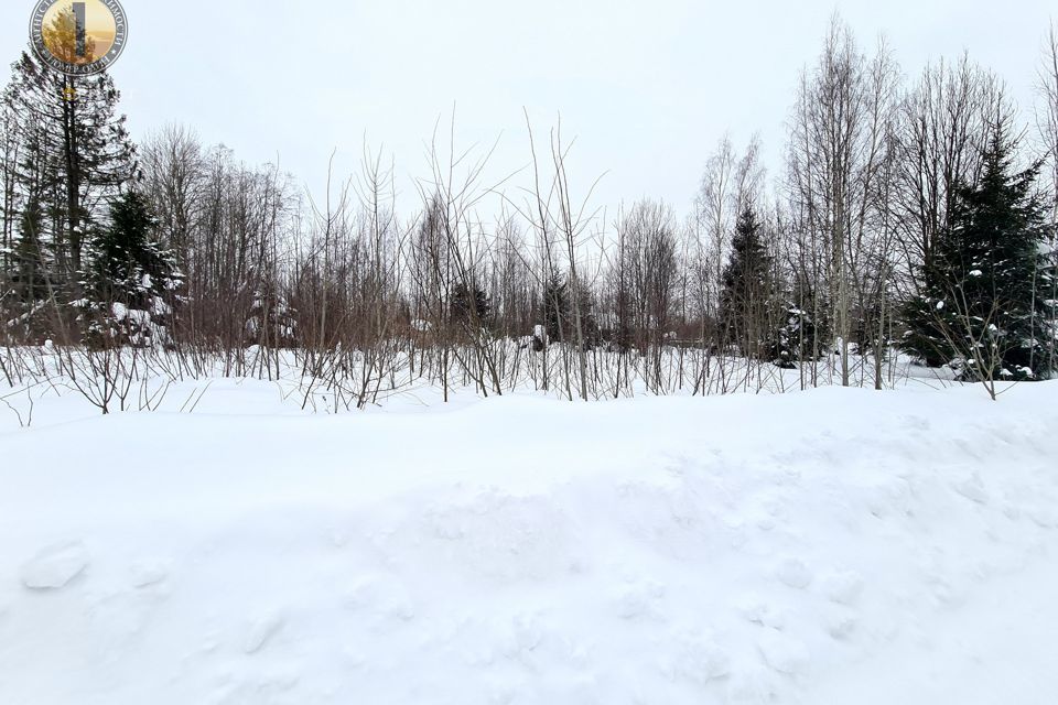 земля г Череповец Зашекснинский район, городской округ Череповец фото 7