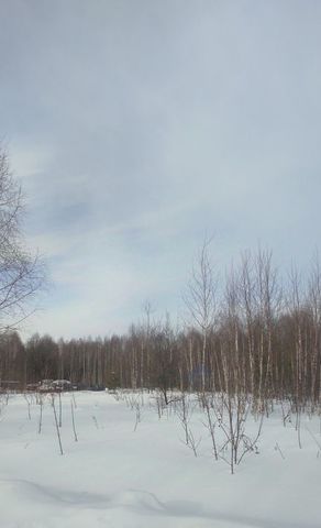 земля д Ломки Городецкий муниципальный округ фото