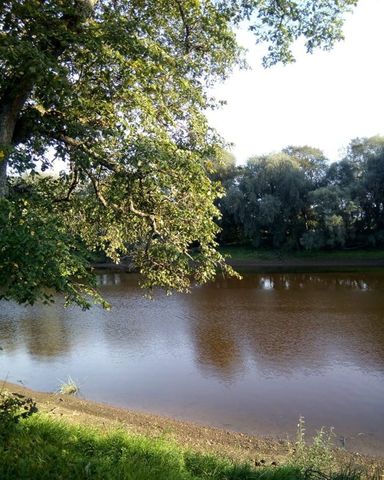 р-н Новгородский Великий Новгород фото