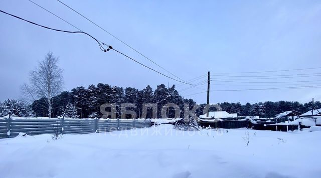 муниципальное образование, Березники фото