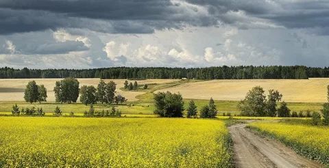 земля р-н Советский д Петропавловка Алексеевское сельское поселение фото 1