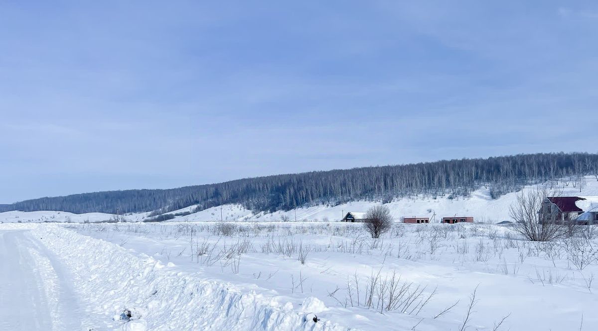 земля г Саранск с Напольная Тавла ул Заречная фото 13