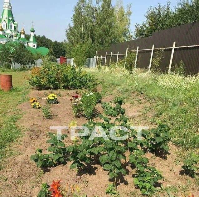 дом р-н Новоусманский с Бабяково ул Зеркальная 2 фото 7