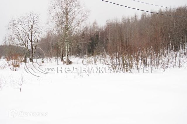 земля д Согиницы ул Никольская фото