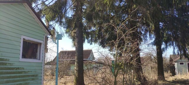 дом 1224 Синявинское городское поселение, Приладожский фото