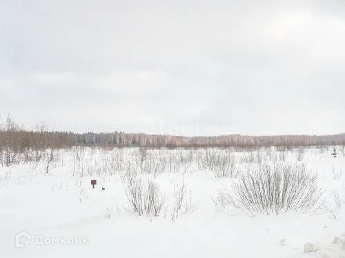 Есаульский сельсовет фото