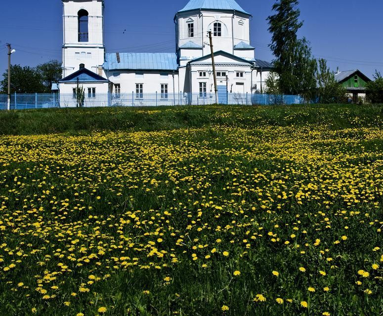 дом р-н Старооскольский с Хорошилово ул Центральная 38 фото 2