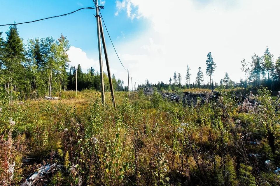 земля г Ханты-Мансийск садово-огородническое товарищество Фиалка, городской округ Ханты-Мансийск фото 4