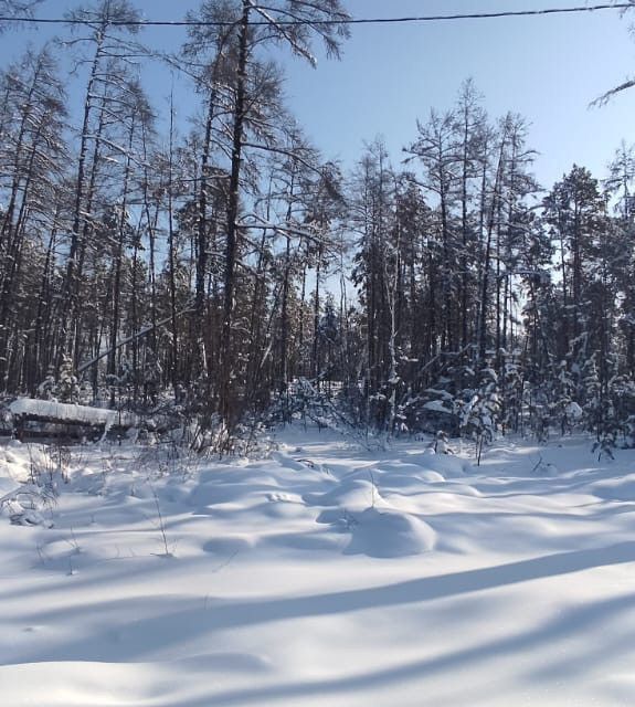 земля у Мегино-Кангаласский улус, Республика Саха Якутия, посёлок городского типа Нижний Бестях фото 2