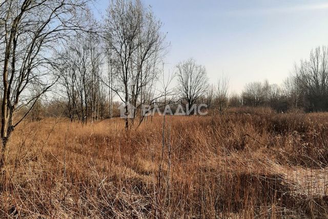 земля ул И.Земнухова городской округ Калининград фото