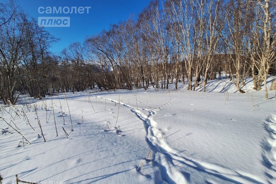 земля г Петропавловск-Камчатский фото 7